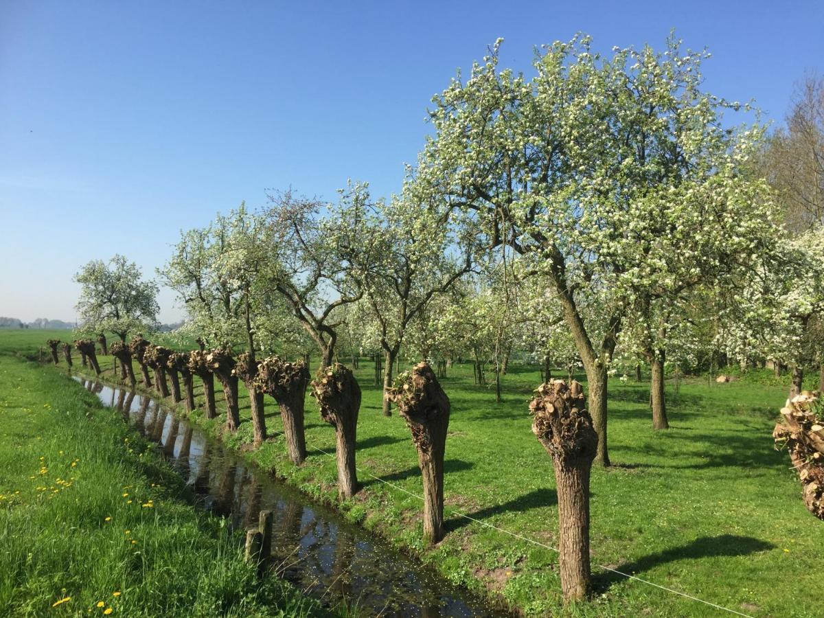 Broeks' Bed En Brood Bed & Breakfast Meerkerk Bagian luar foto